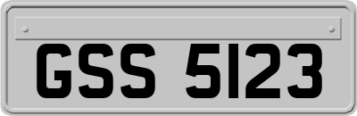 GSS5123
