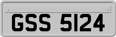 GSS5124