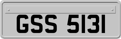GSS5131
