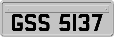 GSS5137