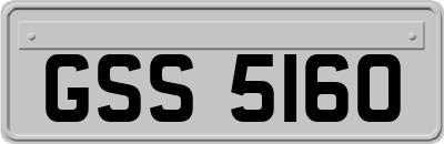 GSS5160