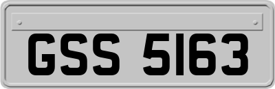 GSS5163