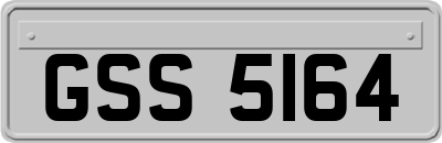 GSS5164
