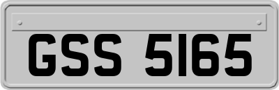 GSS5165