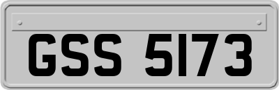 GSS5173