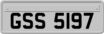 GSS5197