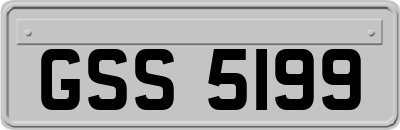 GSS5199