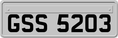 GSS5203