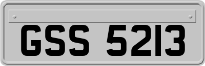 GSS5213