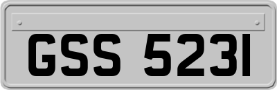 GSS5231