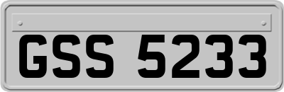 GSS5233
