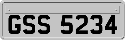 GSS5234