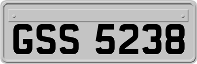 GSS5238