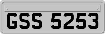 GSS5253
