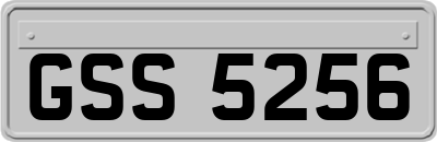 GSS5256
