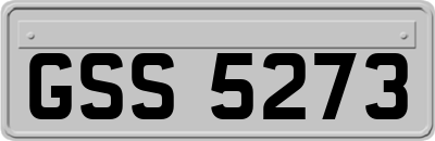 GSS5273