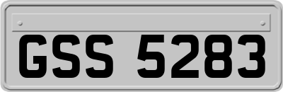 GSS5283