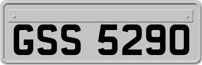 GSS5290