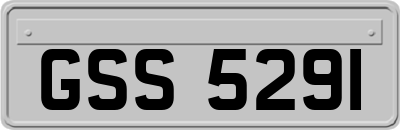 GSS5291