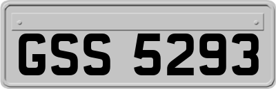 GSS5293