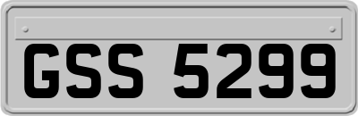 GSS5299