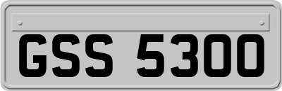 GSS5300