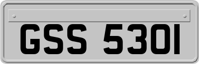 GSS5301