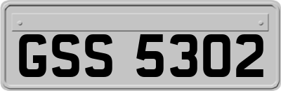 GSS5302