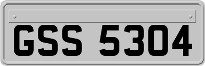 GSS5304