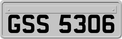GSS5306