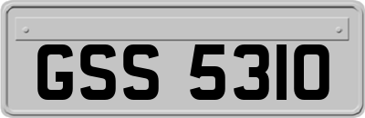 GSS5310