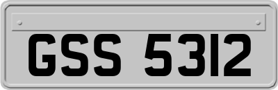 GSS5312