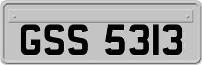 GSS5313