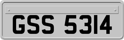 GSS5314