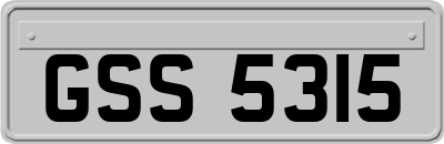 GSS5315