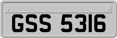 GSS5316