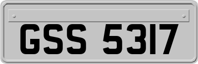GSS5317