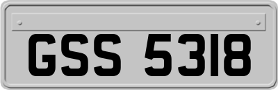 GSS5318