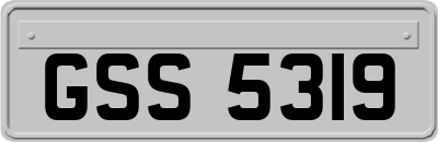 GSS5319