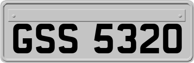 GSS5320