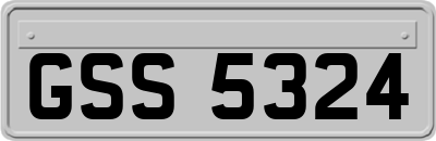 GSS5324