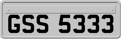 GSS5333