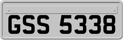 GSS5338