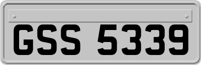GSS5339