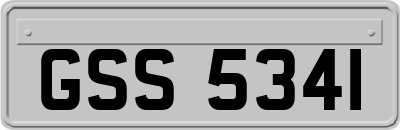 GSS5341