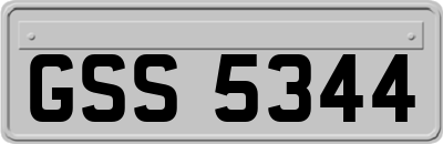 GSS5344