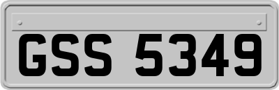 GSS5349