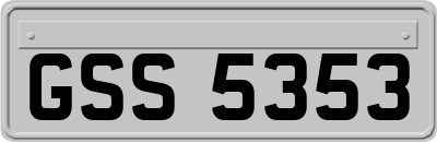 GSS5353