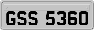 GSS5360