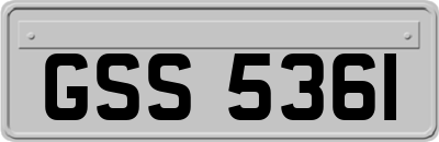 GSS5361